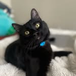 @stanleygeorgemeyers - Instagram