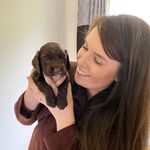 Stanley Moss - @stanley_moss_cocker_spaniel - Instagram