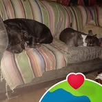 Stanley Newcomb - Facebook