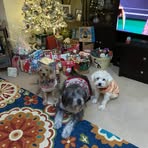 Stanley Olson - Facebook