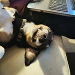 Sabine Stanley - @sabine.stanley.otto - Instagram