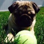 Wilson Stanley Otto - @wils.i.am - Instagram