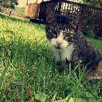 Stanley Pickering - @stann.the.man - Instagram