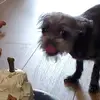 stanleypikul - @stanleypikul - TikTok