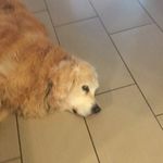 Stanley - @stanley._.powell - Instagram