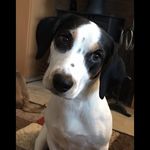 Stanley Powell - @stanleypowell1 - Instagram