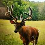 Stanley Pressley - @pressley_stanley - Instagram