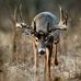 Stanley Pressley - Facebook