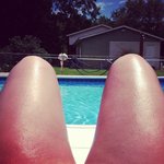 Stanley - @stanleytdspugh - Instagram