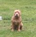 Stanley Pugh - Facebook