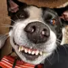 stanleyruzi - @stanleyruzi - TikTok