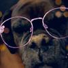 STANLEY - @stanleylife - TikTok