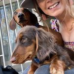Stanley🐿+Raymond🐀 - @stanley_and_raymond - Instagram