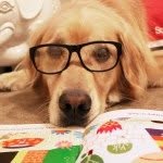 Stanley - @readtostanley - Instagram