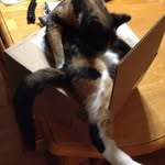 Stanley Reed - @stanleyreed1967 - Instagram