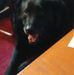 Stanley Root - Facebook