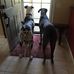 Stanley Rothstein - Facebook