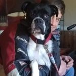 Stanley Jonathan Russell - @stanley_russell - Instagram