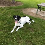 Stanley Russell - @sirstanleyrussell - Instagram