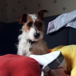 stanley russell - @stanley_russell_14 - Instagram