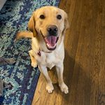 Stanley Sadowski - @mrstanleycuppup - Instagram