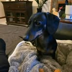 Stanley Samson - Facebook