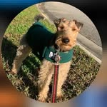 Kim Stanley Sands - @kimstanleysands - Instagram