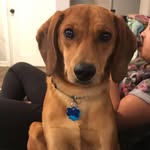 Stan The Man - @stanleysavagee - Instagram