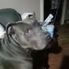 stacystanley942 - @stacystanley942 - TikTok