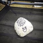 Stanley Stone - @stanley_stone_is_swag - Instagram