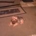 Stanley Stratton - Facebook