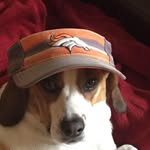 Stanley Swartz - @thestanleyswartz - Instagram