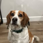 Stanley Swartz - @swartz_stanley - Instagram