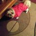 Stanley Sweatt - Facebook