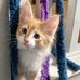 Stanley Townsend - Facebook
