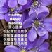 Tse Stanley - Facebook