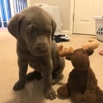 Michelle Stanley Tuttle - @michelletuttleco - Instagram