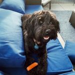 Stanley Ward - @lordstanleyward - Instagram