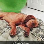 Stanley Ward - @stanley_ward - Instagram