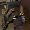 Tiffany Stanley Weaver - @tiffany.stanley.w - TikTok