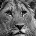 Stan Weissman - Facebook