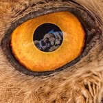 Stanley Welsh - @stanleywelsh637 - Instagram