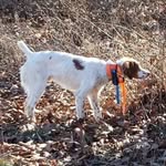 Stanley Williamson - @stanley.williamson.55 - Instagram