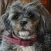 Stan Witkowski - Facebook