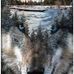 Stanley Wolfe - Facebook