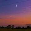 StanleyWolfe - @candihizxdq - TikTok