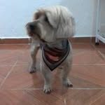 Stanley Yorkshire - @stanley_yorkshire - Instagram