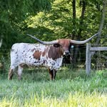 Stanton Miller - @stantonmiller06 - Instagram