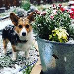 Stanton Miller - @stanton__miller - Instagram