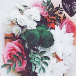 Stanton Sasaki - @sasakistanton - Instagram